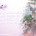 plantas en casa segun tu signo zodiacal